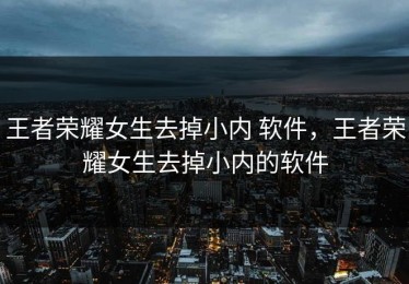 王者荣耀女生去掉小内 软件，王者荣耀女生去掉小内的软件