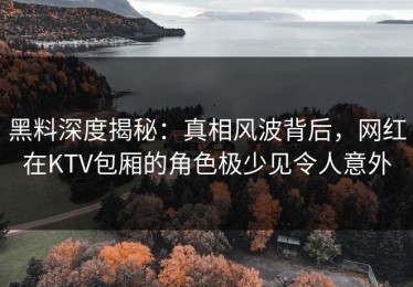 黑料深度揭秘：真相风波背后，网红在KTV包厢的角色极少见令人意外