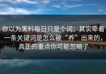 你以为黑料每日只是个词：其实牵着一条关键词是怎么被“养”出来的，真正的重点你可能忽略了