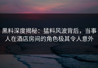 黑料深度揭秘：猛料风波背后，当事人在酒店房间的角色极其令人意外