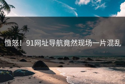 愤怒！91网址导航竟然现场一片混乱