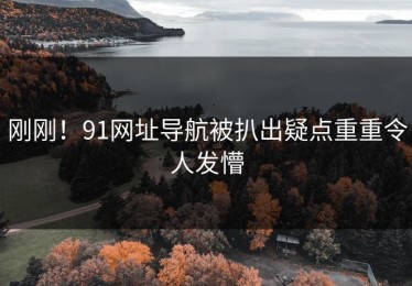 刚刚！91网址导航被扒出疑点重重令人发懵