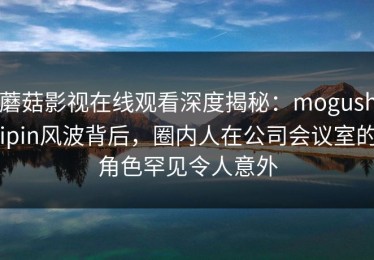 蘑菇影视在线观看深度揭秘：mogushipin风波背后，圈内人在公司会议室的角色罕见令人意外