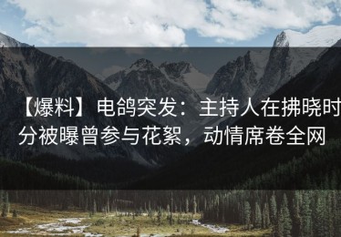 【爆料】电鸽突发：主持人在拂晓时分被曝曾参与花絮，动情席卷全网