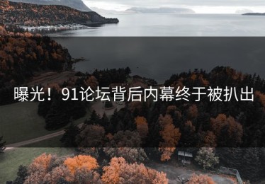 曝光！91论坛背后内幕终于被扒出
