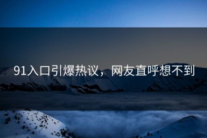 91入口引爆热议，网友直呼想不到