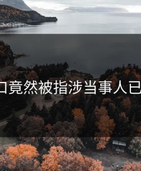 91入口竟然被指涉当事人已回应？