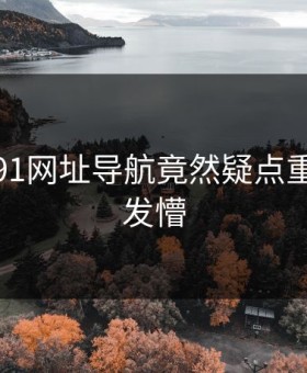 无语！91网址导航竟然疑点重重令人发懵