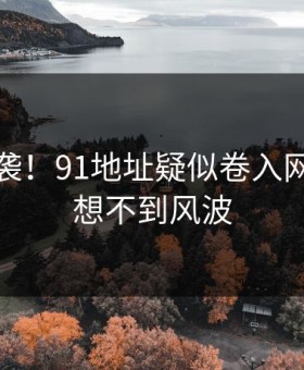 惊恐来袭！91地址疑似卷入网友直呼想不到风波