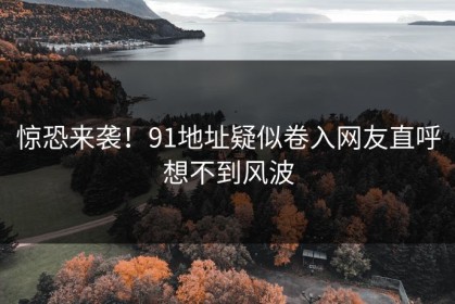 惊恐来袭！91地址疑似卷入网友直呼想不到风波