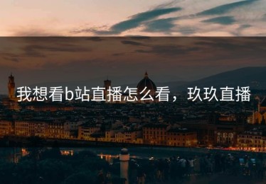 我想看b站直播怎么看，玖玖直播