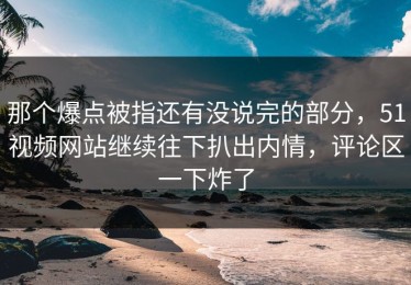那个爆点被指还有没说完的部分，51视频网站继续往下扒出内情，评论区一下炸了