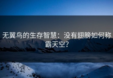 无翼鸟的生存智慧：没有翅膀如何称霸天空？
