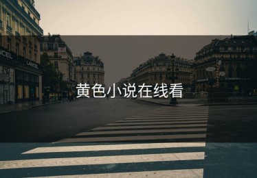 黄色小说在线看