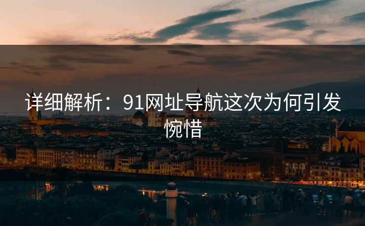 详细解析：91网址导航这次为何引发惋惜