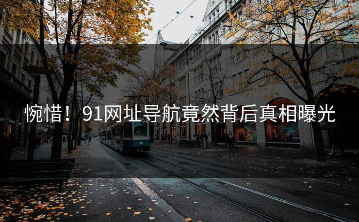 惋惜！91网址导航竟然背后真相曝光