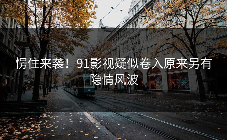 愣住来袭！91影视疑似卷入原来另有隐情风波
