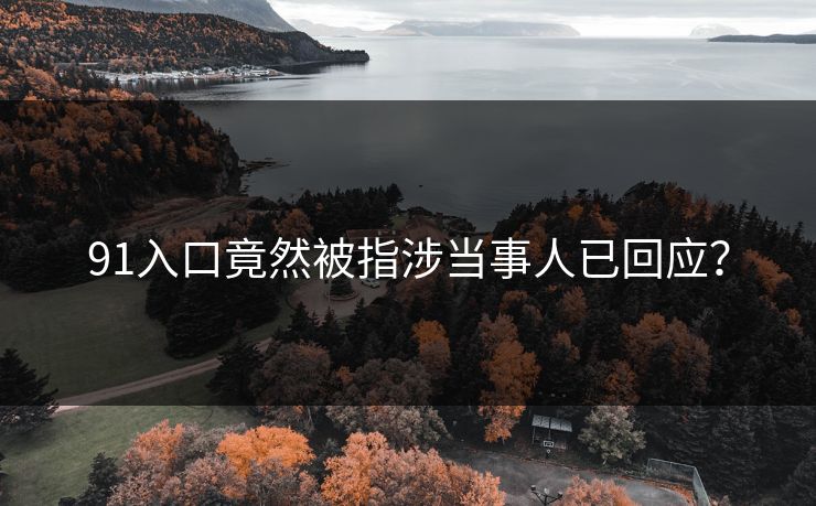 91入口竟然被指涉当事人已回应？