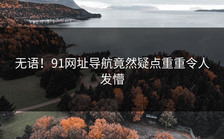无语！91网址导航竟然疑点重重令人发懵