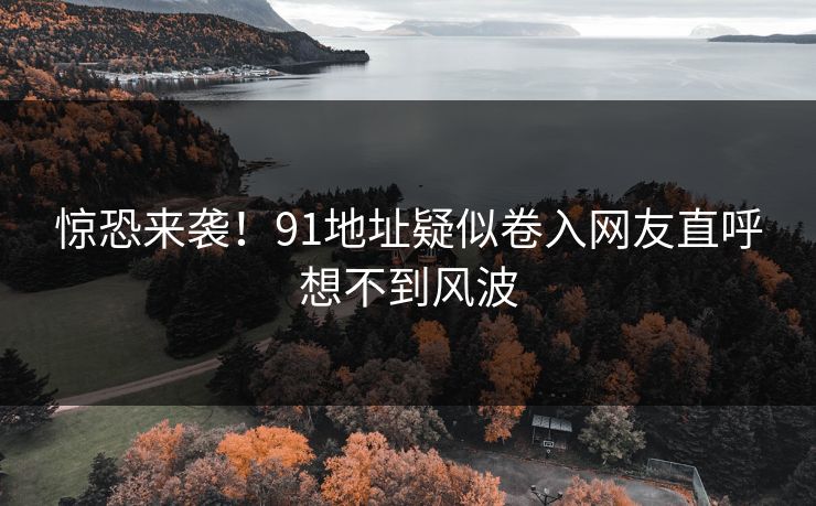 惊恐来袭！91地址疑似卷入网友直呼想不到风波