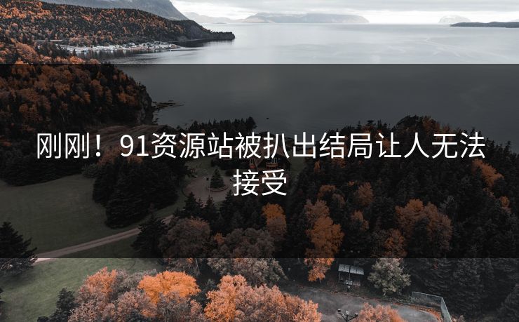 刚刚！91资源站被扒出结局让人无法接受