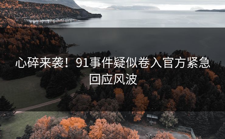 心碎来袭！91事件疑似卷入官方紧急回应风波