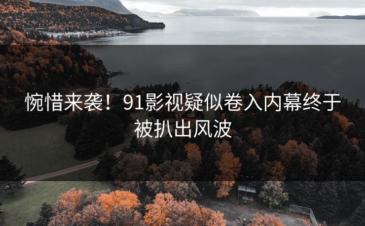 惋惜来袭！91影视疑似卷入内幕终于被扒出风波