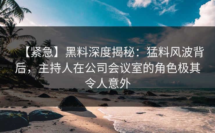 【紧急】黑料深度揭秘：猛料风波背后，主持人在公司会议室的角色极其令人意外
