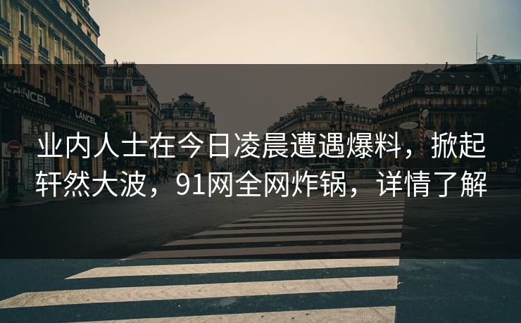 业内人士在今日凌晨遭遇爆料，掀起轩然大波，91网全网炸锅，详情了解