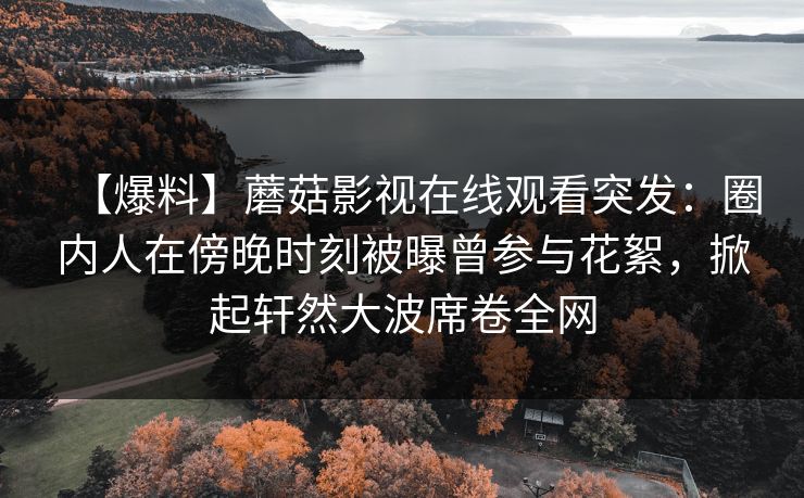 【爆料】蘑菇影视在线观看突发：圈内人在傍晚时刻被曝曾参与花絮，掀起轩然大波席卷全网