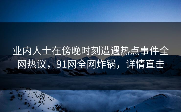 业内人士在傍晚时刻遭遇热点事件全网热议，91网全网炸锅，详情直击