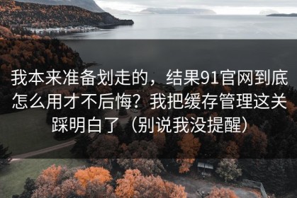 我本来准备划走的，结果91官网到底怎么用才不后悔？我把缓存管理这关踩明白了（别说我没提醒）