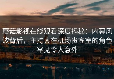 蘑菇影视在线观看深度揭秘：内幕风波背后，主持人在机场贵宾室的角色罕见令人意外