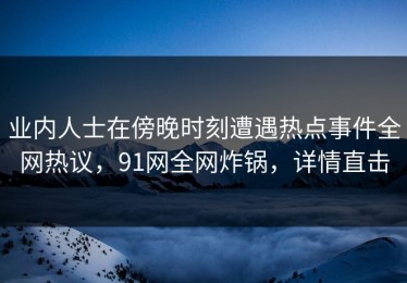 业内人士在傍晚时刻遭遇热点事件全网热议，91网全网炸锅，详情直击