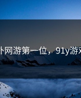 91国外网游第一位，91y游戏官网