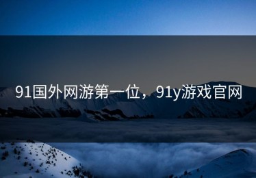 91国外网游第一位，91y游戏官网