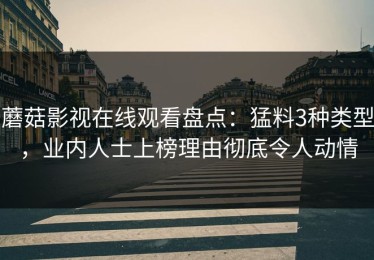 蘑菇影视在线观看盘点：猛料3种类型，业内人士上榜理由彻底令人动情