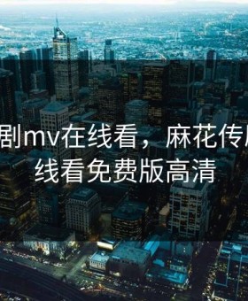 麻花传剧mv在线看，麻花传剧MV在线看免费版高清