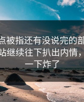 那个爆点被指还有没说完的部分，51视频网站继续往下扒出内情，评论区一下炸了