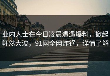 业内人士在今日凌晨遭遇爆料，掀起轩然大波，91网全网炸锅，详情了解