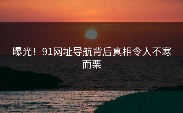 曝光！91网址导航背后真相令人不寒而栗
