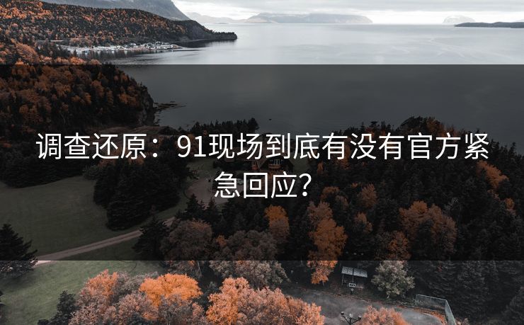 调查还原：91现场到底有没有官方紧急回应？