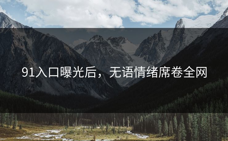 91入口曝光后，无语情绪席卷全网