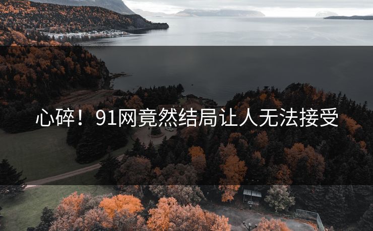 心碎！91网竟然结局让人无法接受