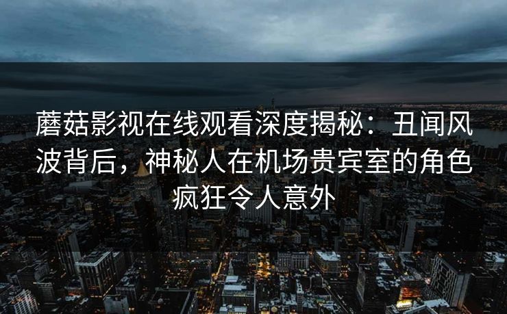 蘑菇影视在线观看深度揭秘：丑闻风波背后，神秘人在机场贵宾室的角色疯狂令人意外