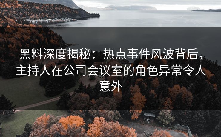 黑料深度揭秘：热点事件风波背后，主持人在公司会议室的角色异常令人意外