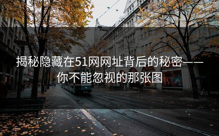 揭秘隐藏在51网网址背后的秘密——你不能忽视的那张图